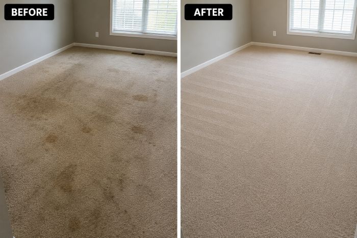 Best Carpet Cleaners in Kempton Park