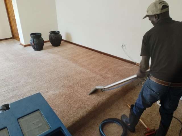 Home Carpet Cleaners Bedfordview
